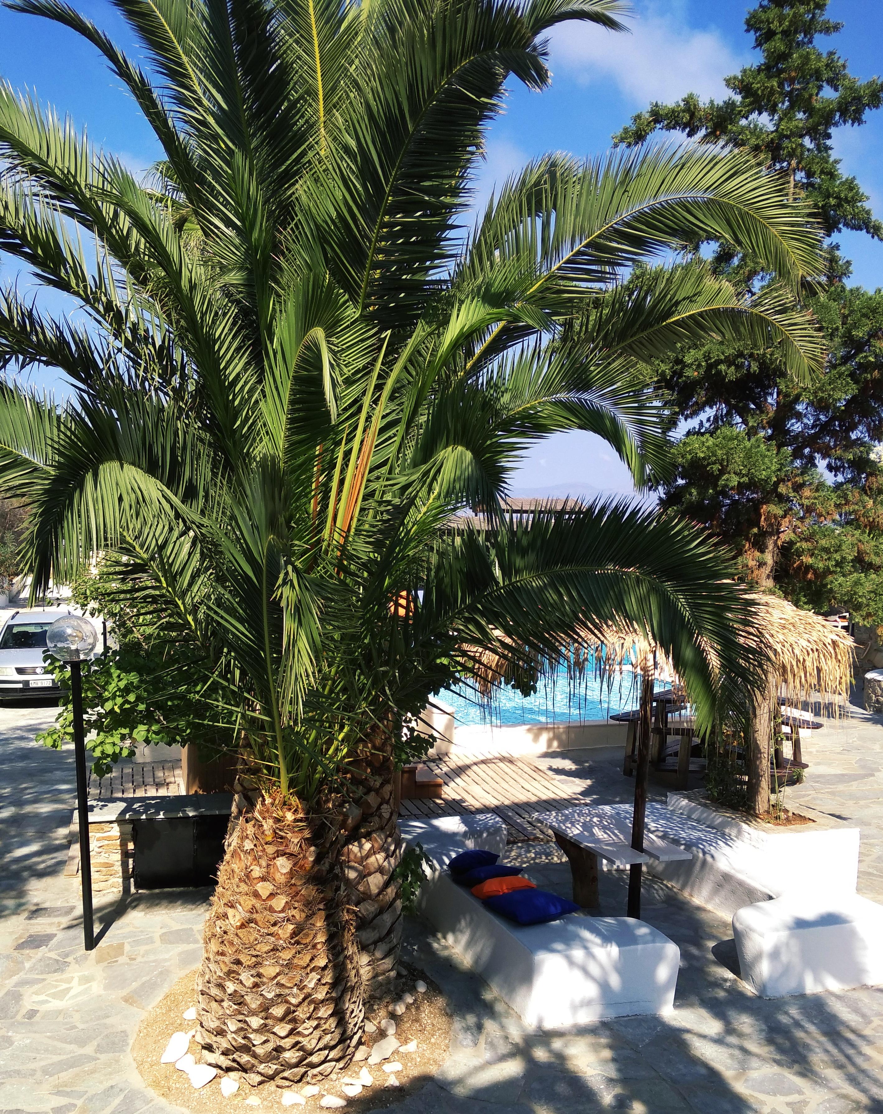 Naxos Summerland Resort Kastrákion Extérieur photo